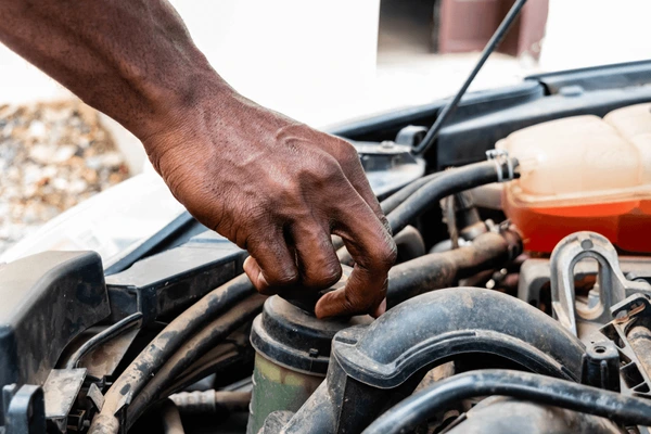 Services